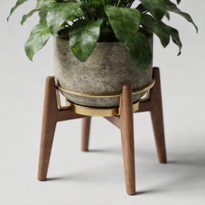 Modern Plant Stand